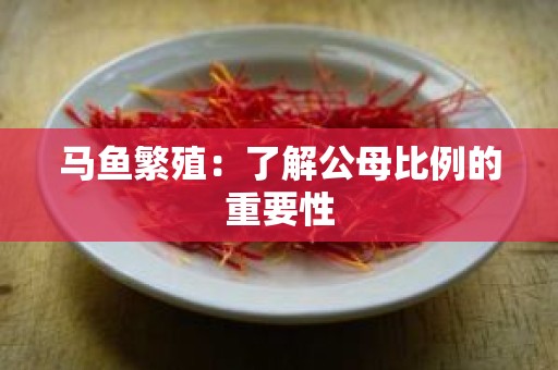 马鱼繁殖：了解公母比例的重要性