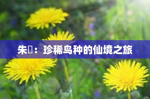 朱鹮：珍稀鸟种的仙境之旅