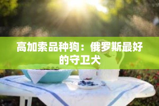 高加索品种狗：俄罗斯最好的守卫犬