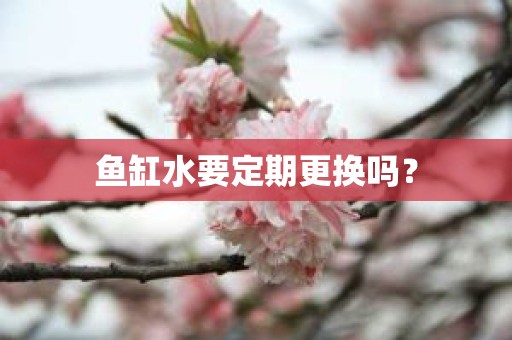 鱼缸水要定期更换吗？