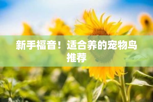 新手福音！适合养的宠物鸟推荐