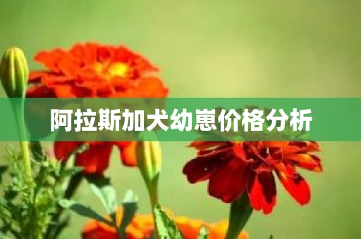 阿拉斯加犬幼崽价格分析