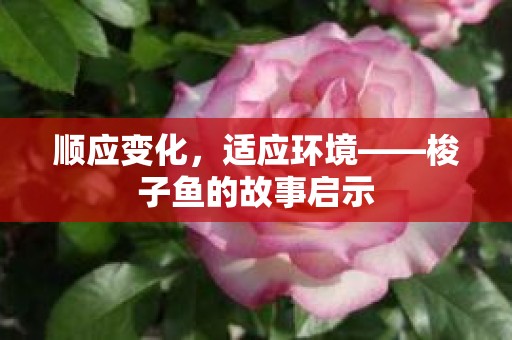 顺应变化，适应环境——梭子鱼的故事启示