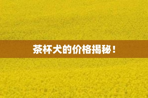 茶杯犬的价格揭秘！