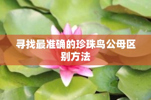 寻找最准确的珍珠鸟公母区别方法