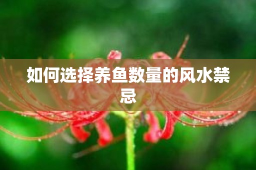 如何选择养鱼数量的风水禁忌