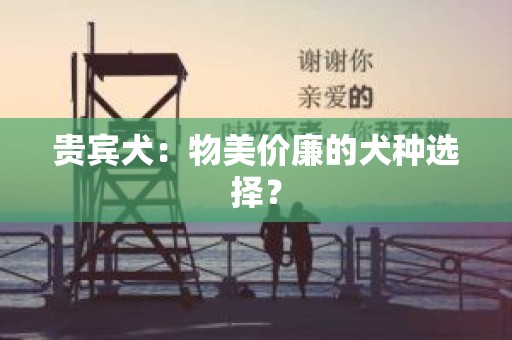 贵宾犬：物美价廉的犬种选择？