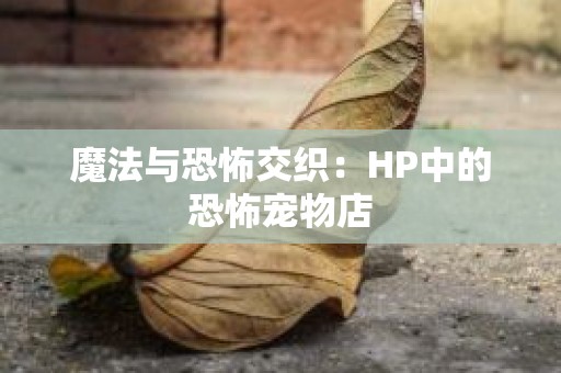 魔法与恐怖交织：HP中的恐怖宠物店