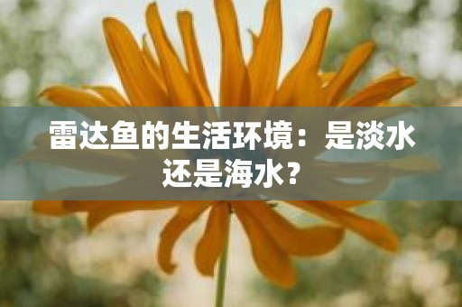 雷达鱼的生活环境：是淡水还是海水？