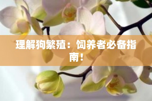 理解狗繁殖：饲养者必备指南！