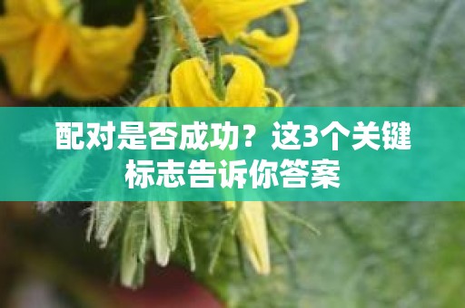 配对是否成功？这3个关键标志告诉你答案