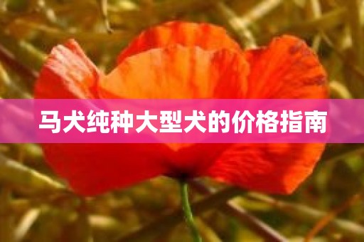 马犬纯种大型犬的价格指南