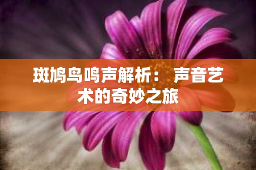 斑鸠鸟鸣声解析： 声音艺术的奇妙之旅