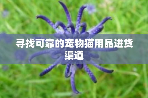 寻找可靠的宠物猫用品进货渠道