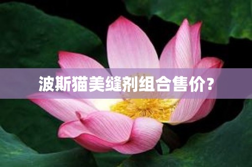 波斯猫美缝剂组合售价？