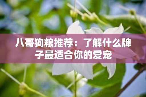 八哥狗粮推荐：了解什么牌子最适合你的爱宠