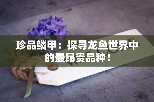 珍品鳞甲：探寻龙鱼世界中的最昂贵品种！