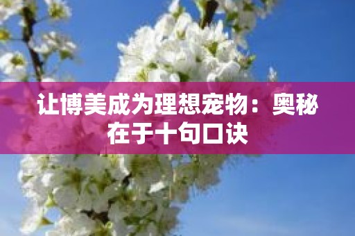 让博美成为理想宠物：奥秘在于十句口诀