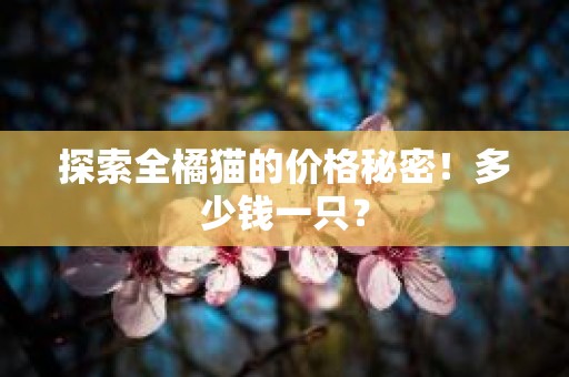 探索全橘猫的价格秘密！多少钱一只？