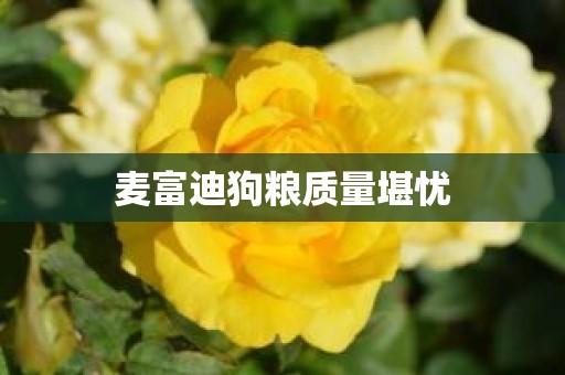 麦富迪狗粮质量堪忧