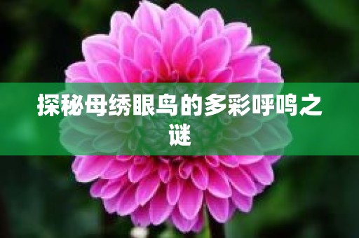 探秘母绣眼鸟的多彩呼鸣之谜