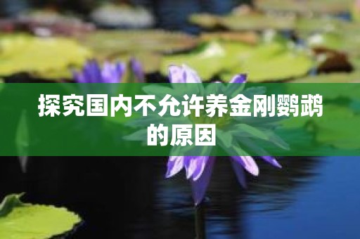 探究国内不允许养金刚鹦鹉的原因