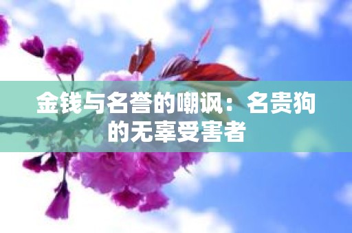 金钱与名誉的嘲讽：名贵狗的无辜受害者