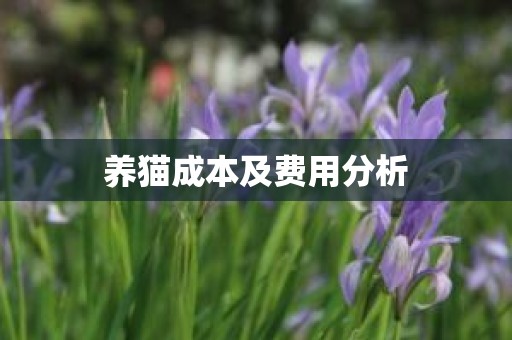 养猫成本及费用分析