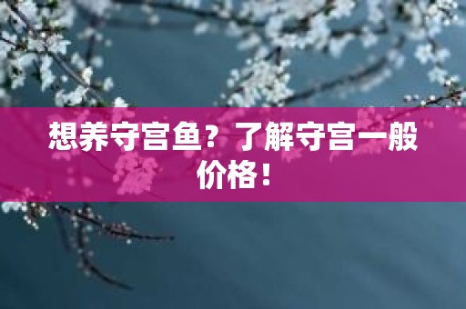 想养守宫鱼？了解守宫一般价格！