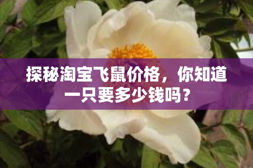 探秘淘宝飞鼠价格，你知道一只要多少钱吗？