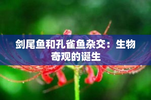 剑尾鱼和孔雀鱼杂交：生物奇观的诞生