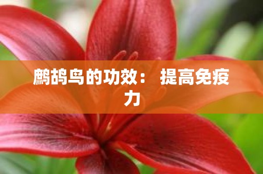 鹧鸪鸟的功效： 提高免疫力