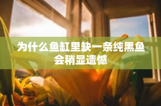为什么鱼缸里缺一条纯黑鱼会稍显遗憾