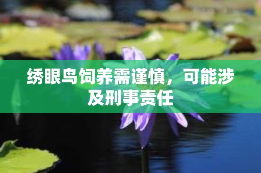 绣眼鸟饲养需谨慎，可能涉及刑事责任