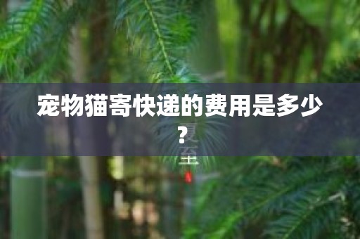 宠物猫寄快递的费用是多少？