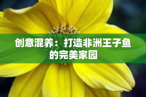 创意混养：打造非洲王子鱼的完美家园