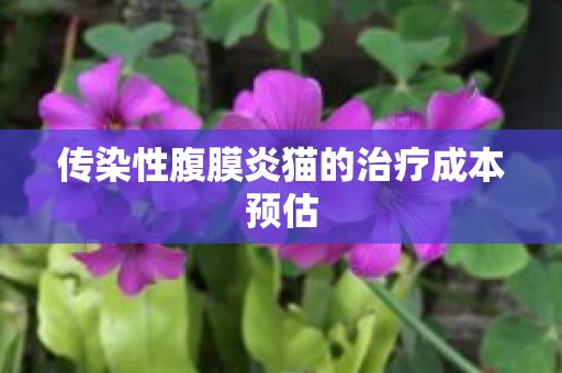 传染性腹膜炎猫的治疗成本预估