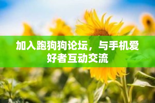 加入跑狗狗论坛，与手机爱好者互动交流