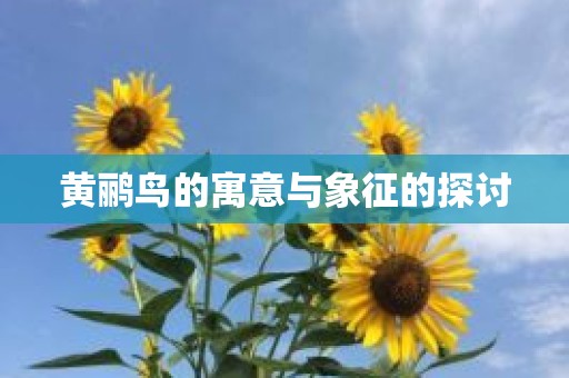黄鹂鸟的寓意与象征的探讨