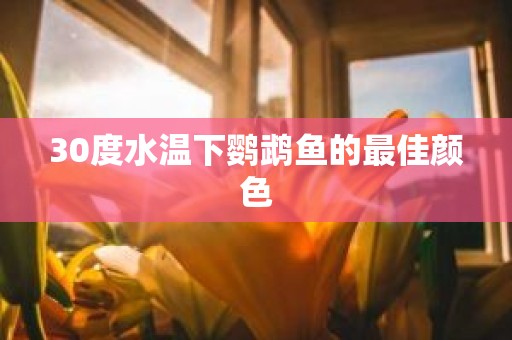 30度水温下鹦鹉鱼的最佳颜色