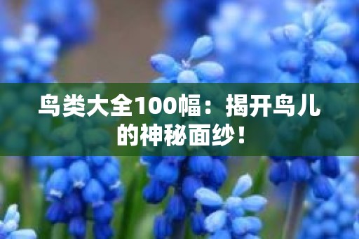 鸟类大全100幅：揭开鸟儿的神秘面纱！