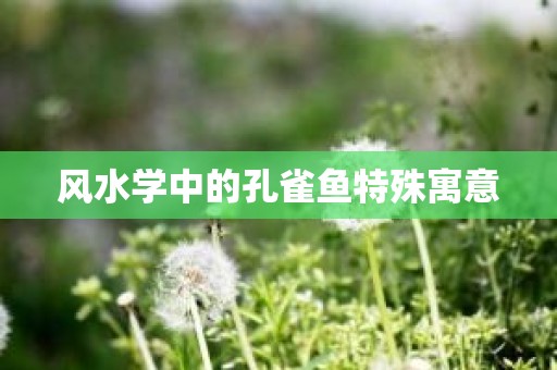 风水学中的孔雀鱼特殊寓意