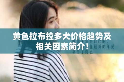 黄色拉布拉多犬价格趋势及相关因素简介！