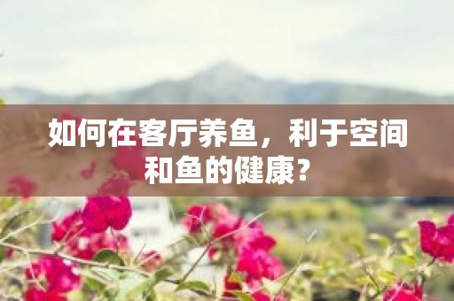 如何在客厅养鱼，利于空间和鱼的健康？