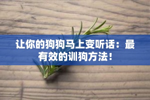 让你的狗狗马上变听话：最有效的训狗方法！