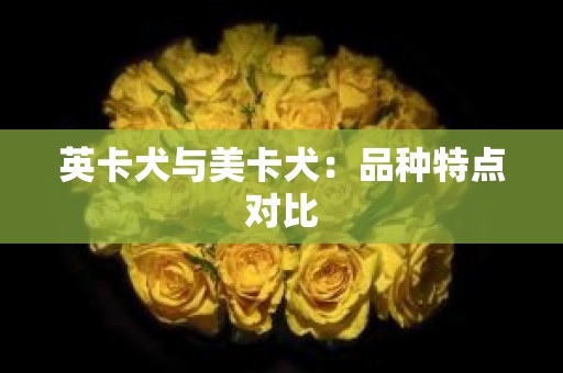 英卡犬与美卡犬：品种特点对比