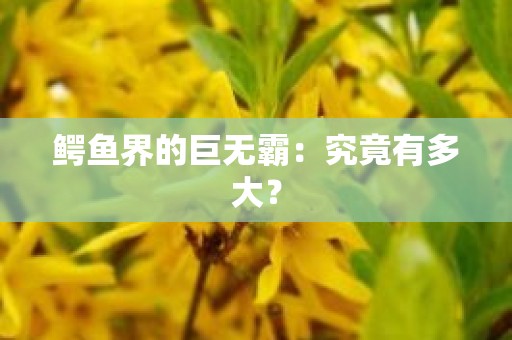 鳄鱼界的巨无霸：究竟有多大？