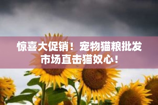 惊喜大促销！宠物猫粮批发市场直击猫奴心！