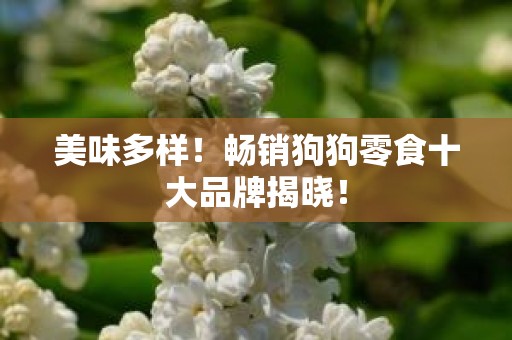 美味多样！畅销狗狗零食十大品牌揭晓！