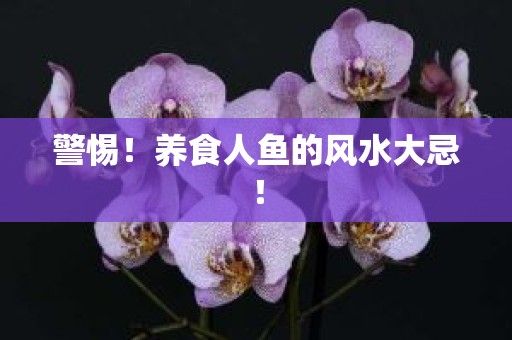 警惕！养食人鱼的风水大忌！